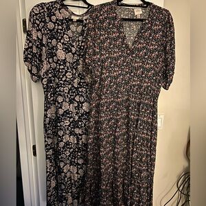 Knox Rose Midi Dresses